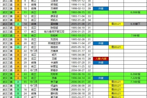 三镇、海牛、铁人、铜梁龙2026中超联赛报名名单(夏窗后)