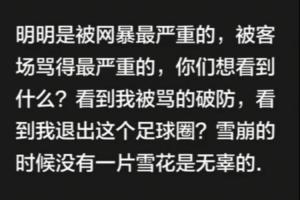 韦世豪:你们想看什么?看到我破防?雪崩时没有一片雪花是无辜的